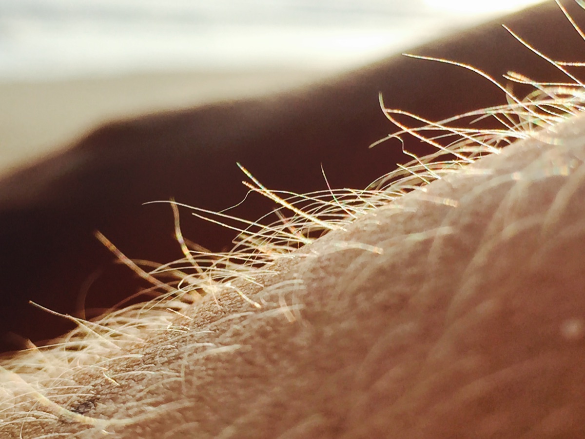gros plan sur la texture des cheveux