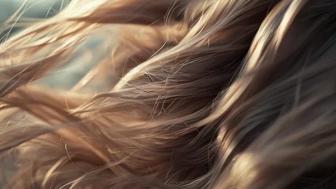 Cabelo com volume: 3 ferramentas essenciais para sua rotina